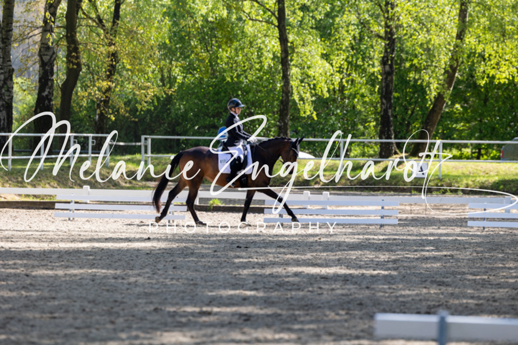 7I8A2063 | melanie-engelhardt-photography - Realisiert mit Pictrs.com