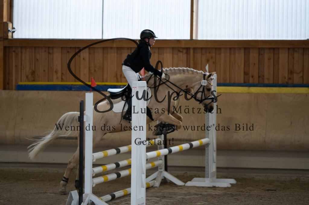 A7V00166 | Pferdefotograf