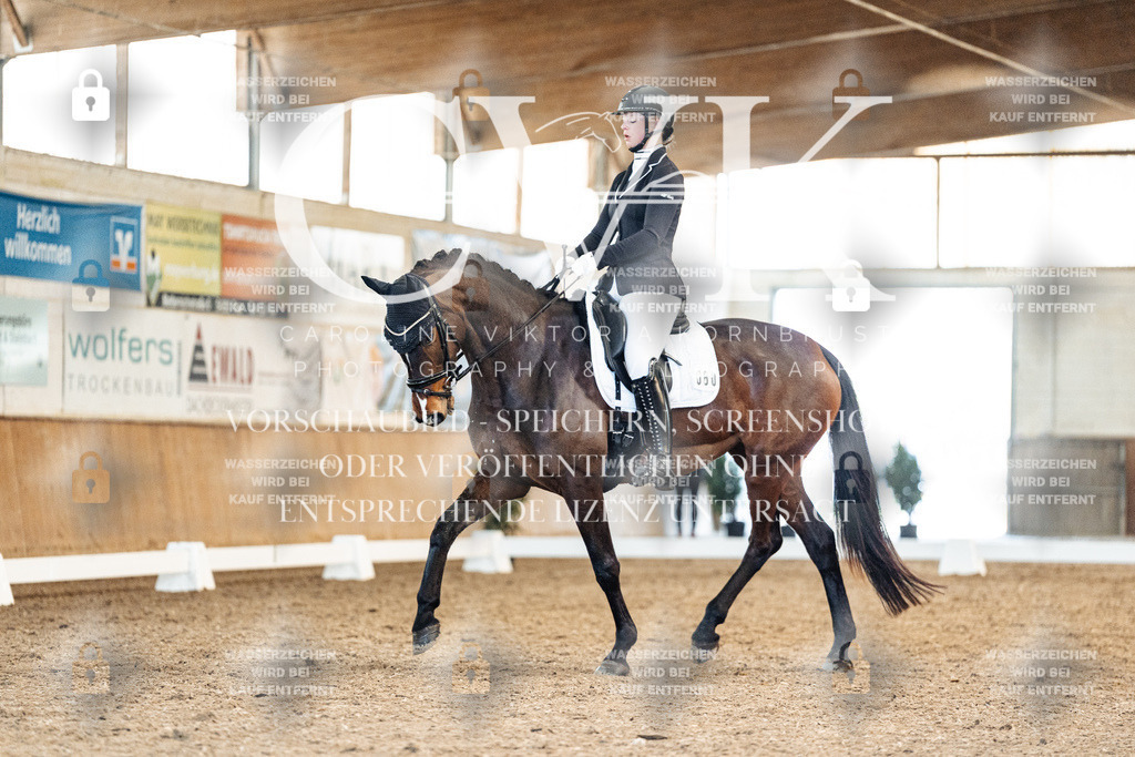 CK908859 | Turnierfotografie Pferdefotografie Trier Rheinland-Pfalz Pferdesport Reitsport Tierfotografie Sportfotografie Pferdevideo Pferdevideografie Equestrianvideography equestrianphotography  - Realisiert mit Pictrs.com