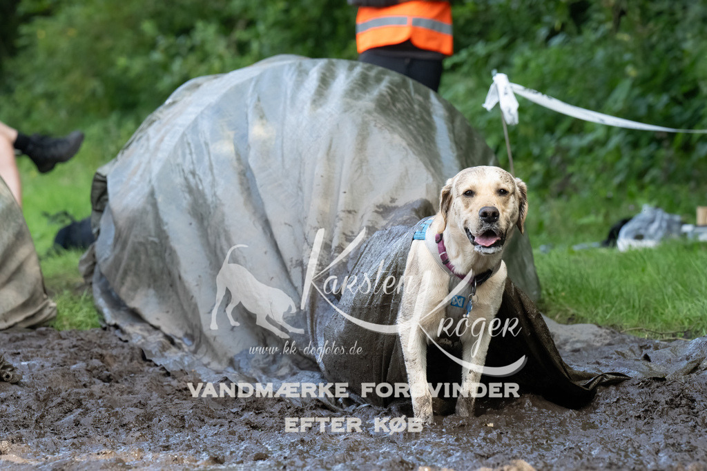 1701_ZZ90794-Bearbeitet | kk-dogfotos