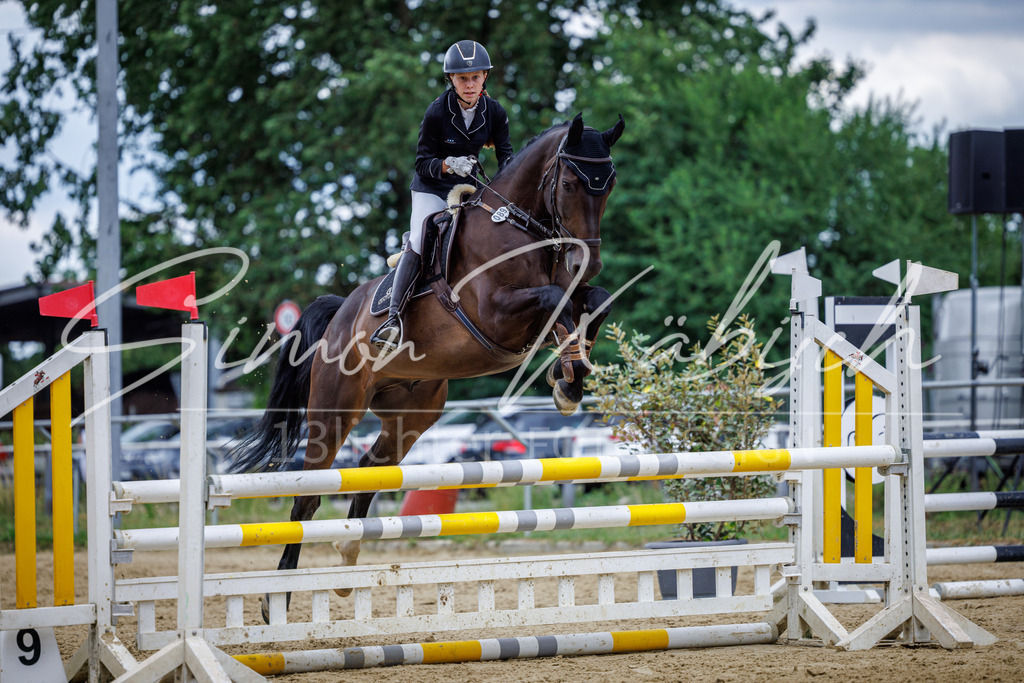 20260705-_3LI5264 | Tierfotografie Pferde, Hunde, Katzen, Haustiere.
Turnierfotografie Reitturniere, Reiten, Springreiten, Dressur in Hanau, dem Main-Kinzig-Kreis und dem Rhein-Main- Gebiet um Frankfurt