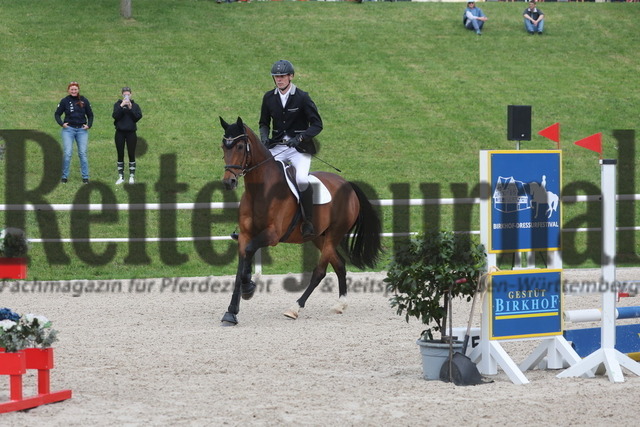 Birkhof_2024_Prfg.Nr.14_Ü45-Spring-WB_Steffen Rohm_Colming Z (2) | Alle Fotos der Reiterjournal Fotografin Doris Matthaes im Reiterjournal Online-Fotoshop. - Realisiert mit Pictrs.com