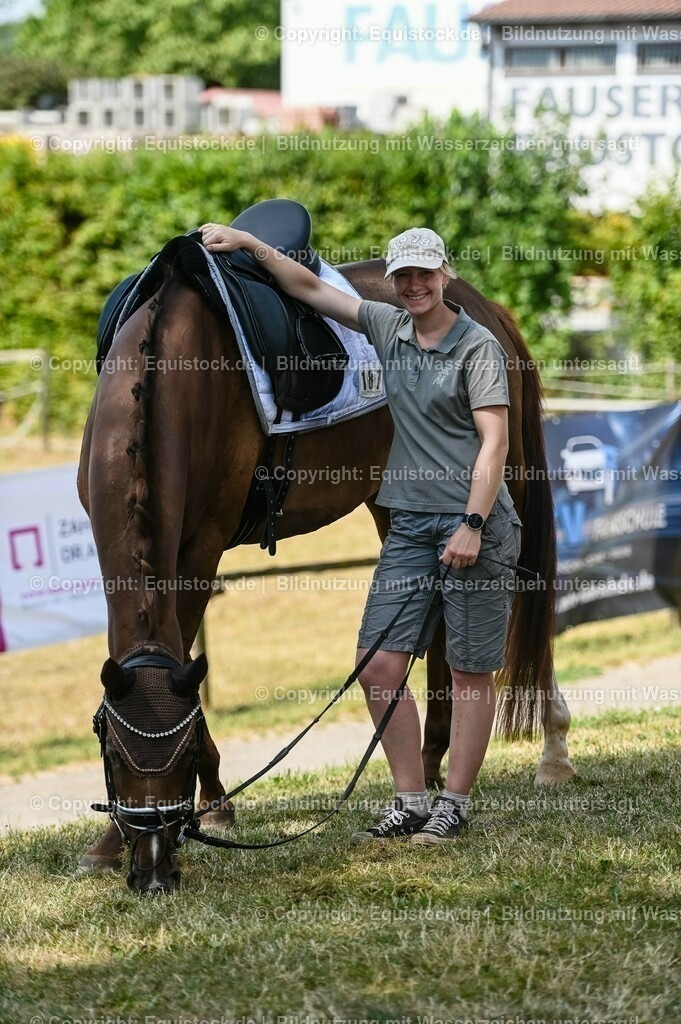 20230715_07_Dressurpferdeprfg. Kl.L_0197 | equistock