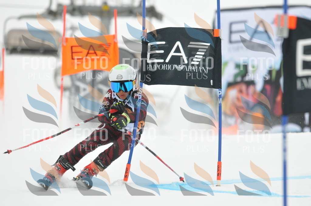 DSC_7881 | holidayphoto