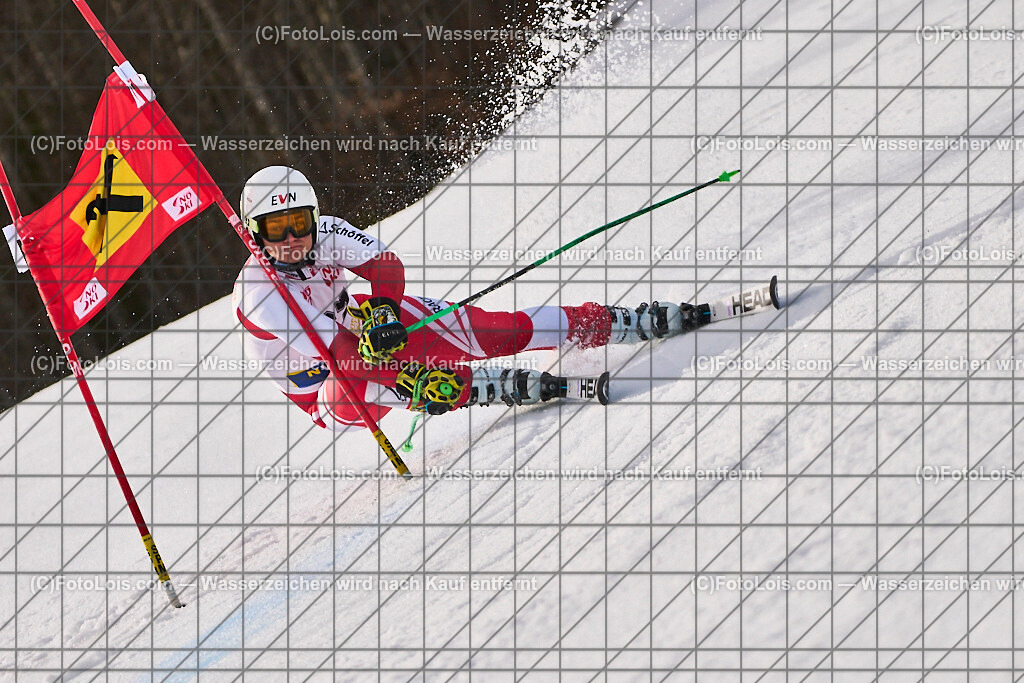 ALP8972_Herrn-FIS-GS-II_Lackenhof-WY_SCHACHINGER Lorenz | Internationaler FIS GiantSlalom der Herrn auf der Distelpiste in Lackenhof am Di 11. März 2025.  Österreich, LSV-NÖ, Sportunion Waidhofen/Ybbs (2035).