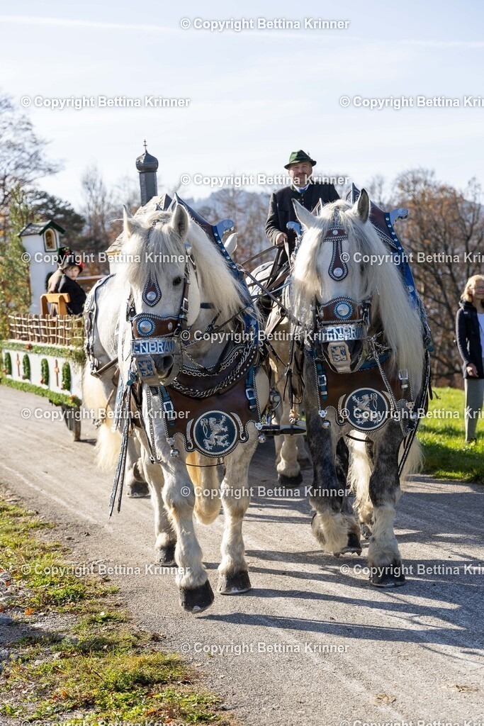LBT24-1338 | foto-bettina-krinner - Realisiert mit Pictrs.com