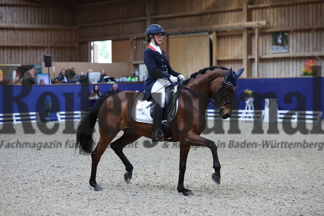 Zeutern_2025_Prfg.Nr.01_Dressurprfg.Kl.S_Grand Prix_Jennifer Buda_Daily Fun 4 (7) | Alle Fotos der Reiterjournal Fotografin Doris Matthaes im Reiterjournal Online-Fotoshop. - Realisiert mit Pictrs.com