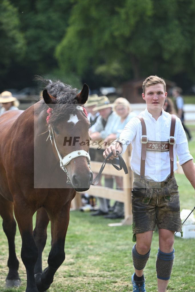 Kat-Nr. 47 Nymphenburg_Huber_20230735 | hf-fotografie - Realisiert mit Pictrs.com