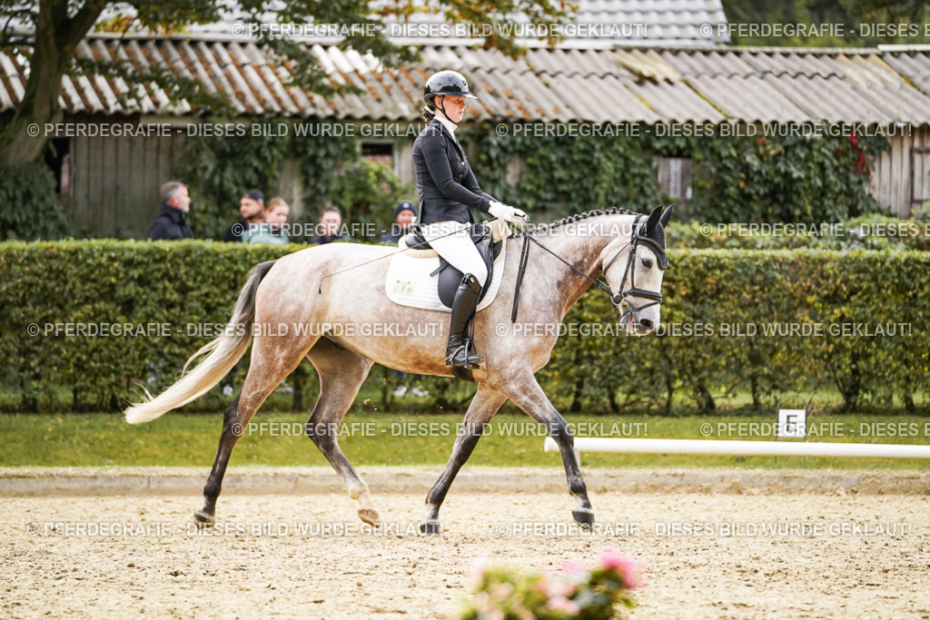 DSC01459 | Pferdegrafie