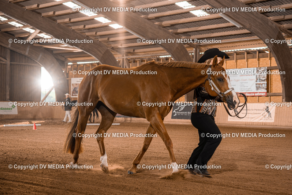 NE100011 | dv-media-shop - Realisiert mit Pictrs.com