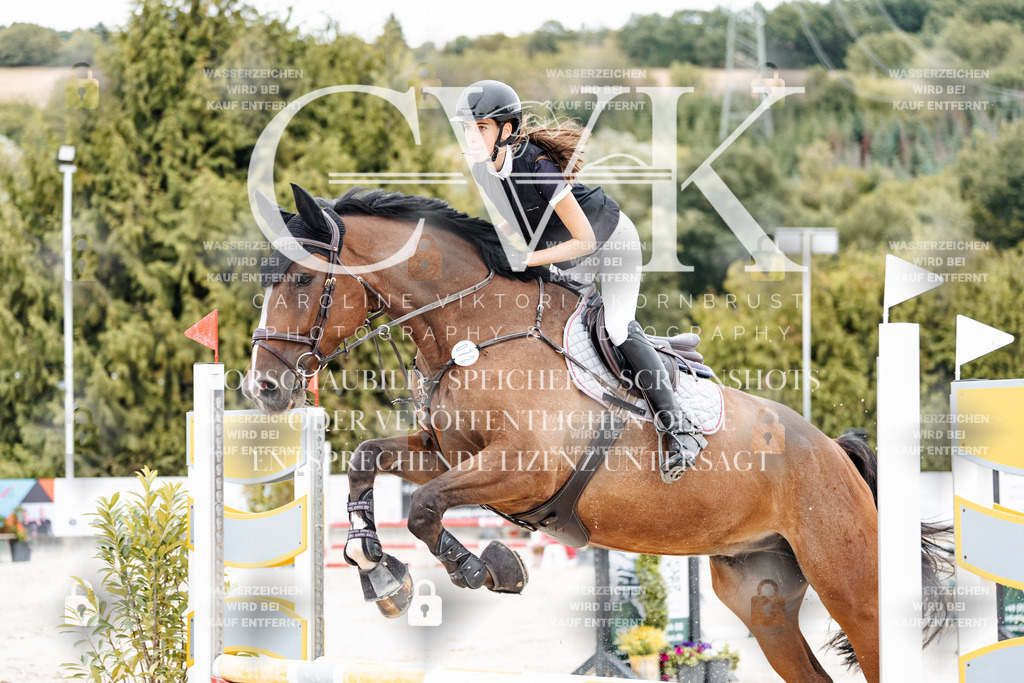 CK908411 | Turnierfotografie Pferdefotografie Trier Rheinland-Pfalz Pferdesport Reitsport Tierfotografie Sportfotografie Pferdevideo Pferdevideografie Equestrianvideography equestrianphotography  - Realisiert mit Pictrs.com