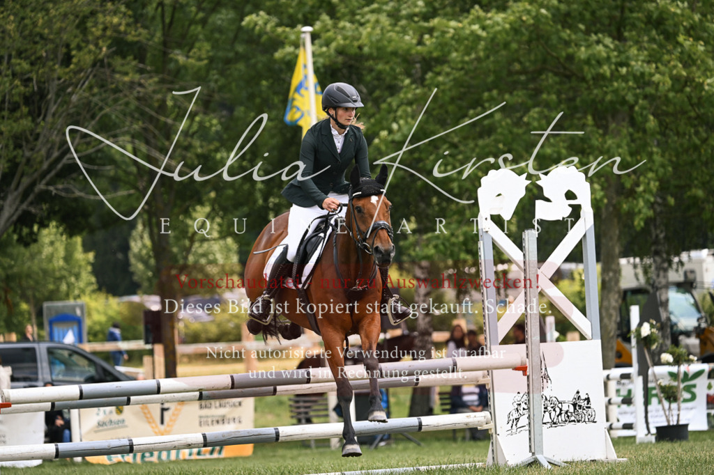 DSC_9151 | Pferde- und Turnierfotografie in Westsachsen. Pferdeportraits, Auftragszeichnungen und intuitive Kunst.