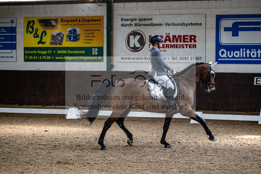 20240310-DOS_0519 | Entdecke hochwertige Reitturnierfotos von Foto Oger. Professionell, emotional und authentisch – jetzt Lieblingsmomente im Shop bestellen.Deutschlandweite Turnierfotografie. - Realisiert mit Pictrs.com