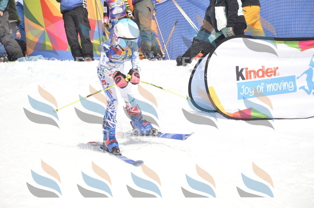 _ELE9050 | holidayphoto