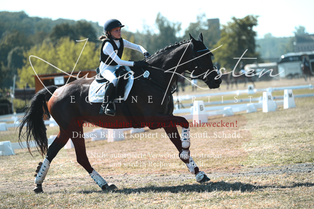 DSC_8012 | Pferde- und Turnierfotografie in Westsachsen. Pferdeportraits, Auftragszeichnungen und intuitive Kunst.