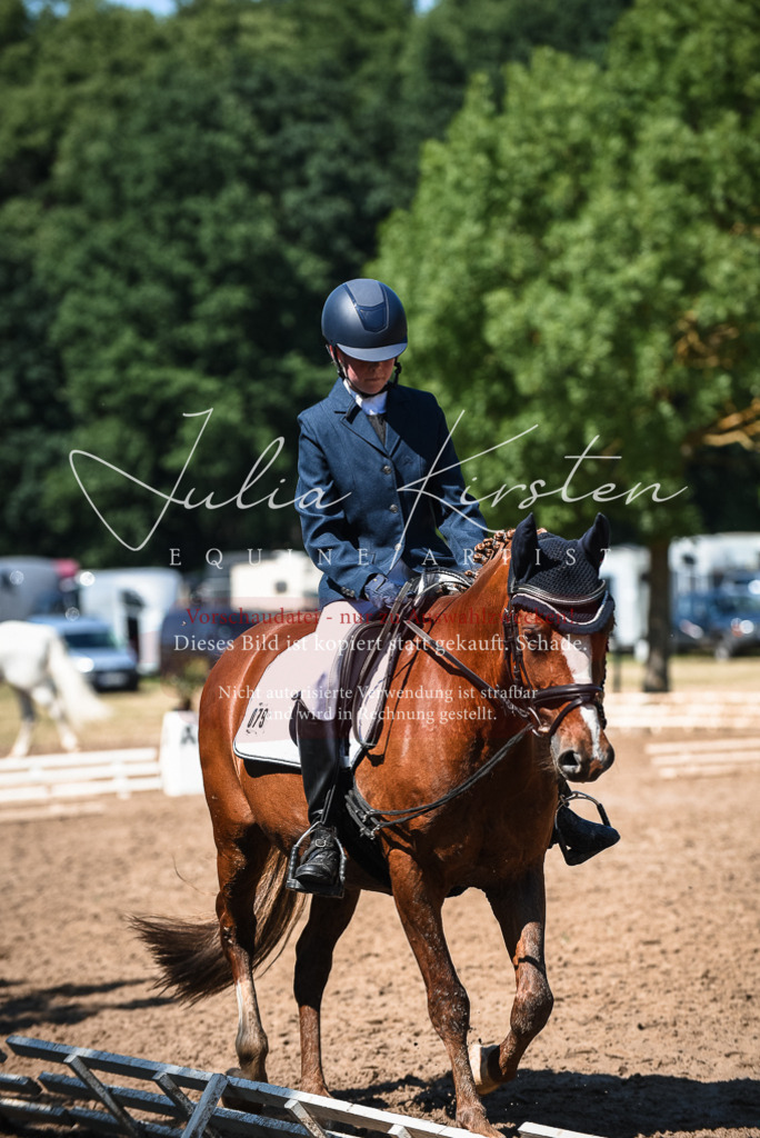 DSC_3541 | Pferde- und Turnierfotografie in Westsachsen. Pferdeportraits, Auftragszeichnungen und intuitive Kunst.