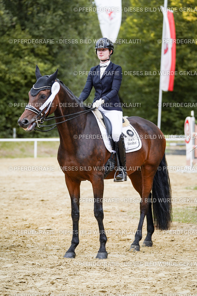 DSC02581 | Pferdegrafie