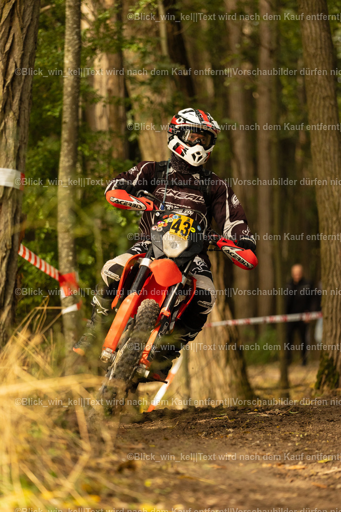 E68A0737 | blick_win_kel