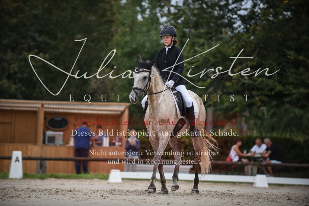 DSC_8207 | Pferde- und Turnierfotografie in Westsachsen. Pferdeportraits, Auftragszeichnungen und intuitive Kunst.