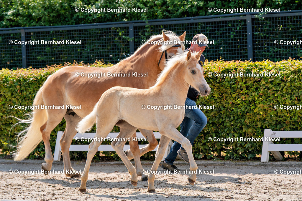 2A909640 | foto-team-bernhard - Realisiert mit Pictrs.com
