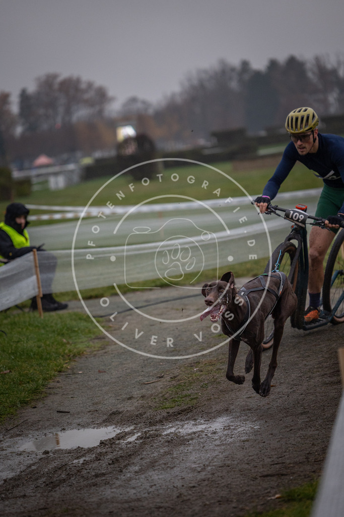 CaniXpix_0L8A0254 | Hundefotografie, Tierfotograf, Pfotenfotografie, Fotoshooting Hund, Hunde Portrait, Hundesport, Hundeportraits, Heideshooting, Hunde, Sportfotograf, Hundefotograf, Turnierhundsport, THS,  - Realisiert mit Pictrs.com
