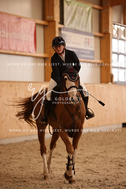 1J2A4525Lilli Plath_ Butler of Picobello Z_ Kn039_ Hohen Wieschendorf_ Glantz | Foto- und Videografie für alles rund ums Pferd. Hochwertige Bilder und Videos vom Spring- und Dressurreiten, Voltigieren & mehr. Jetzt aktuelle Veranstaltungen und Preise im Shop ansehen. - Realisiert mit Pictrs.com