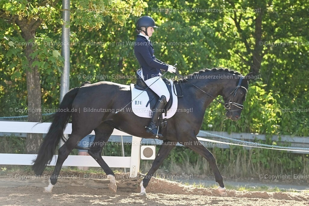 20230715_06_Dressurpferdeprfg. Kl.A_0241 | equistock