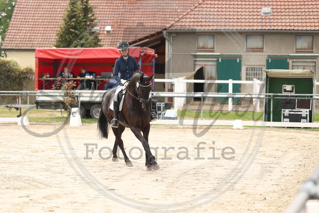 994A7478 | sabrinanicolaifotografie - Realisiert mit Pictrs.com