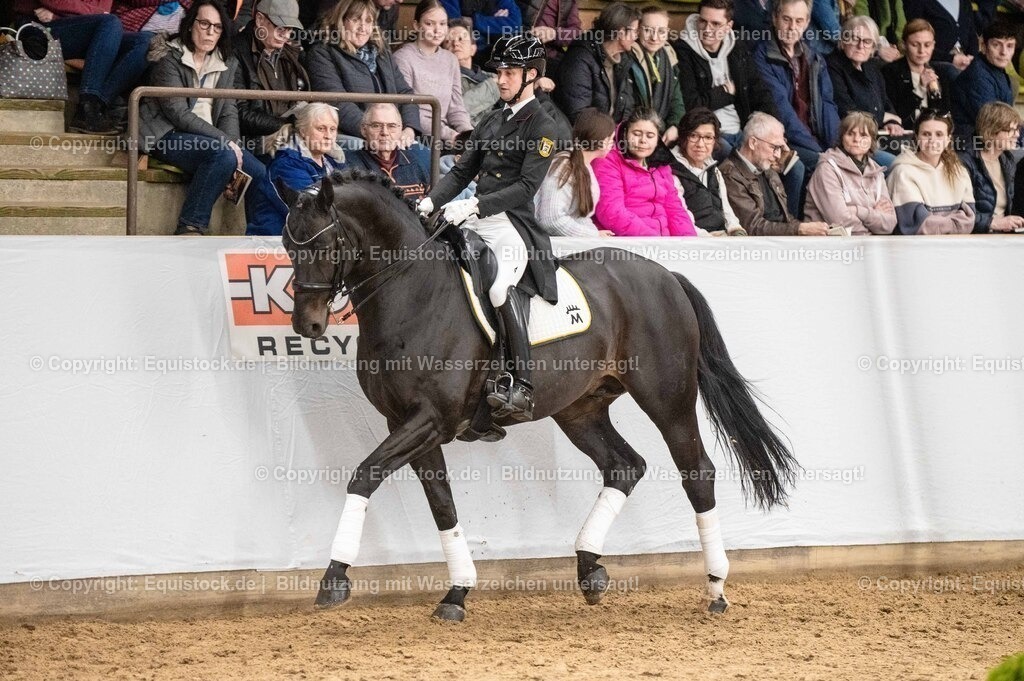 20260307_Hengstvorstellung-Marbach_0468 | equistock