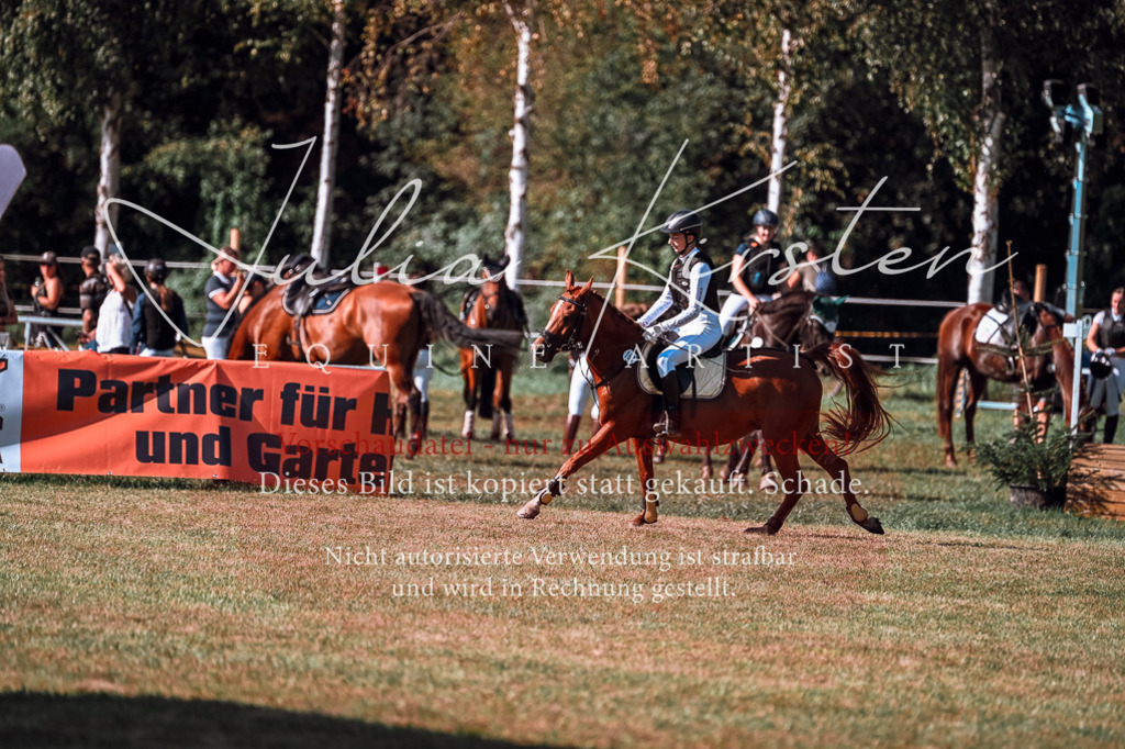 DSC_0862 | Pferde- und Turnierfotografie in Westsachsen. Pferdeportraits, Auftragszeichnungen und intuitive Kunst.