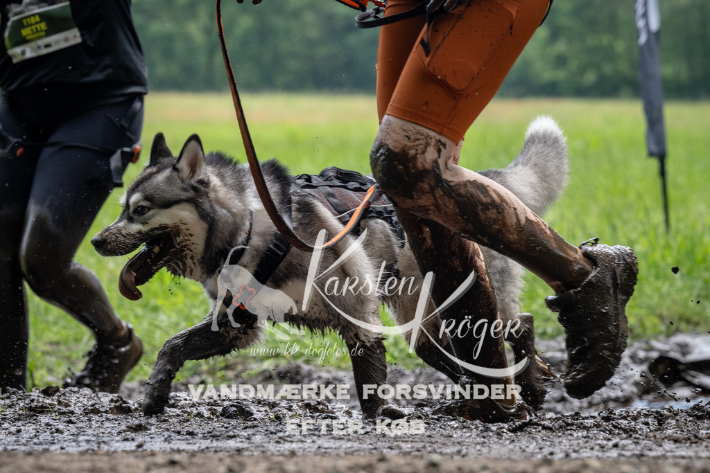 1105_ZZ91381 | kk-dogfotos