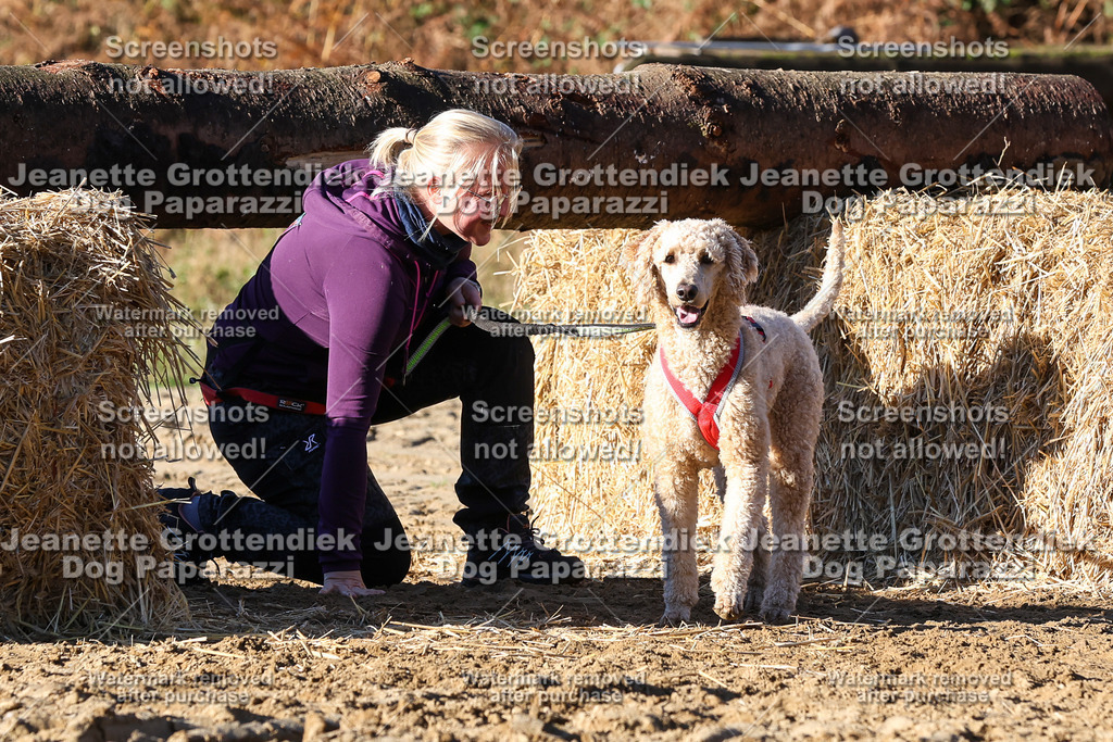 Dog Paparazzi - Strongdog 10-25-1703 | Dog Paparazzi Jeanette Grottendiek Fotografie & Videografie - Realisiert mit Pictrs.com