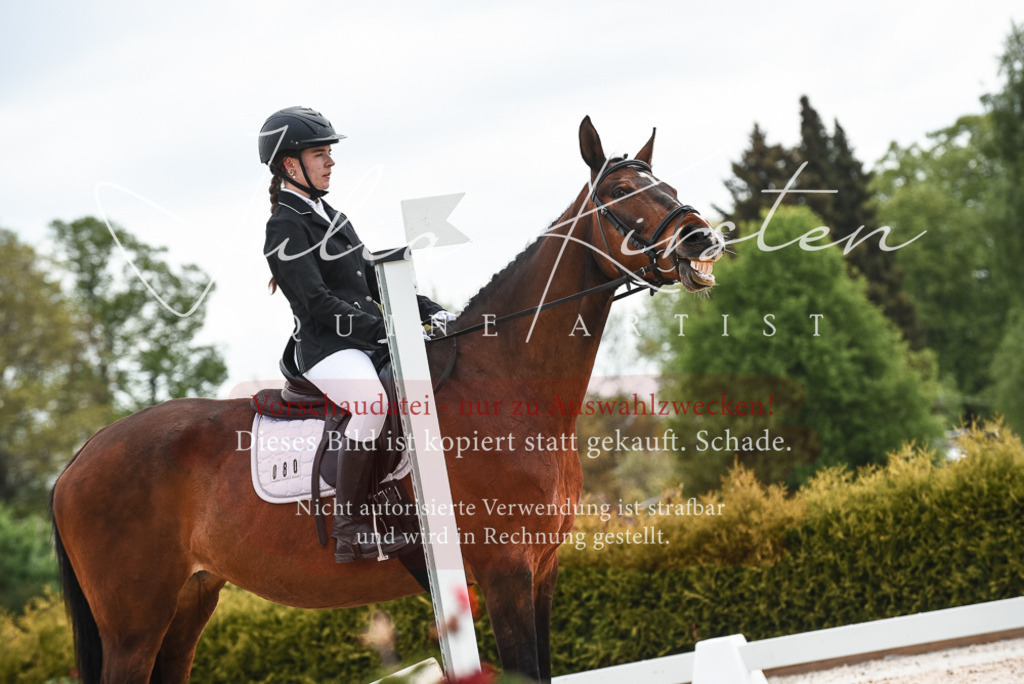 20230518_JK-Röhrsdorf-10-213 | Pferde- und Turnierfotografie in Westsachsen. Pferdeportraits, Auftragszeichnungen und intuitive Kunst.