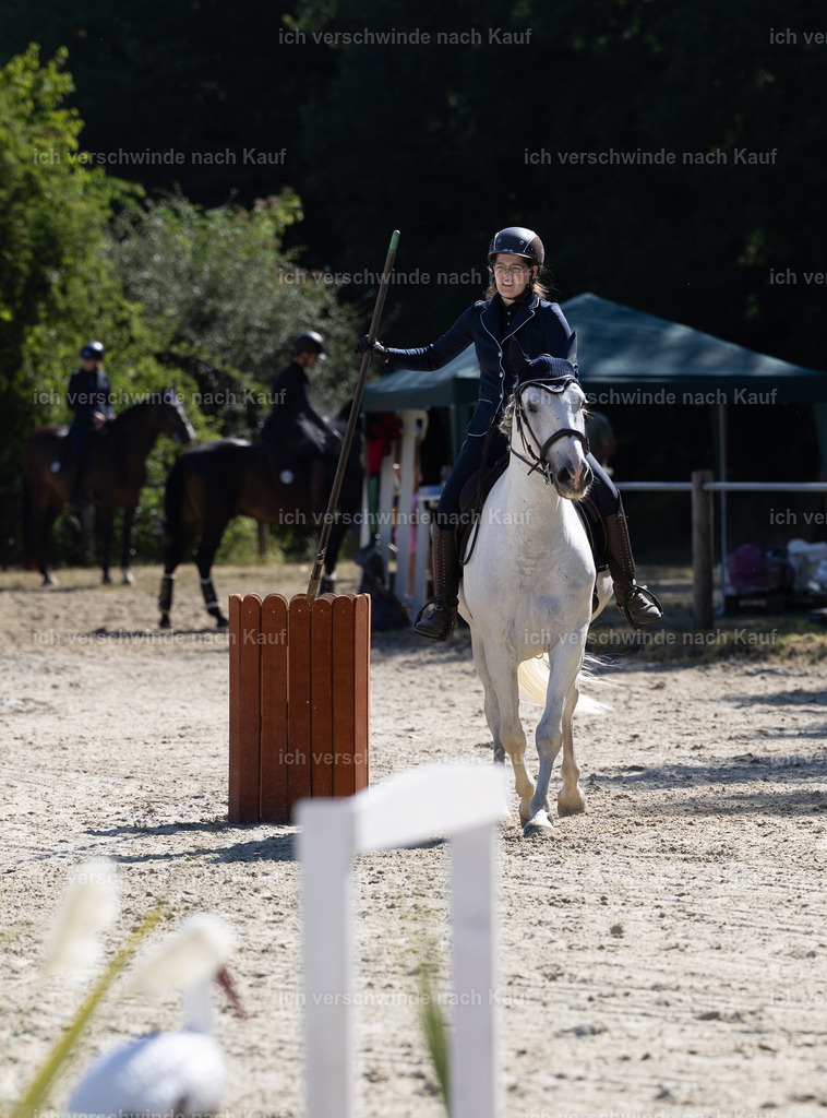 WA_Trail_4_KerstinBernhardt-10 | working equitationturnier fotograf videograf stoibphotography marixx film working equitation deutschland reitsport turnierfotografie eventfotografie equestrian events
