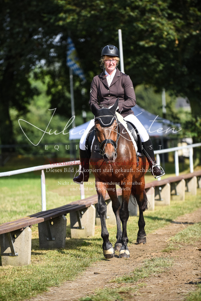 DSC_3099 | Pferde- und Turnierfotografie in Westsachsen. Pferdeportraits, Auftragszeichnungen und intuitive Kunst.