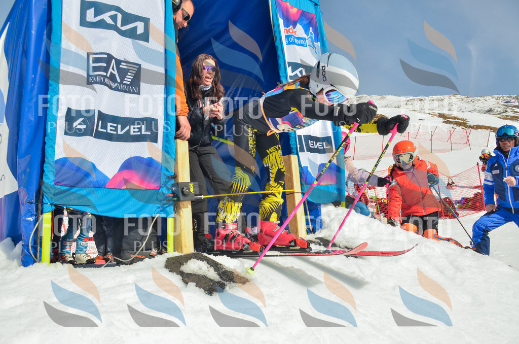 _ELE4947 | holidayphoto