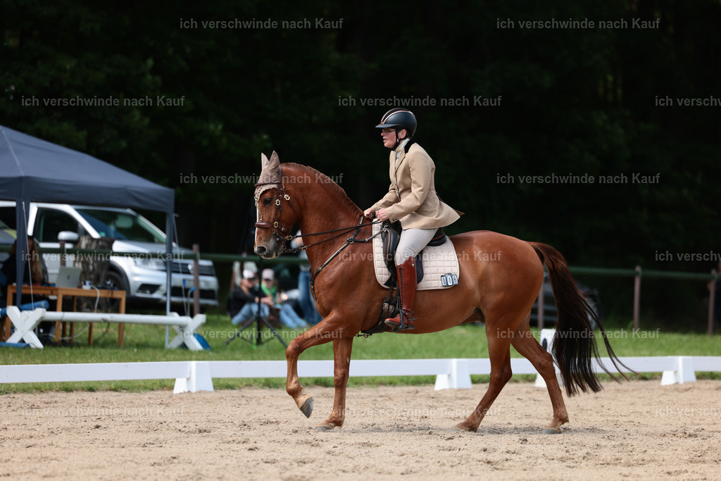 KlasseM_Stoibphotography_C2_L6414.JPG | working equitationturnier fotograf videograf stoibphotography marixx film working equitation deutschland reitsport turnierfotografie eventfotografie equestrian events