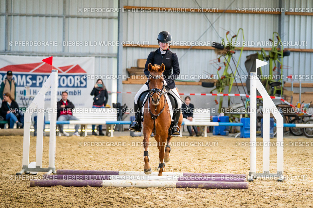 DSC01493 | Pferdegrafie