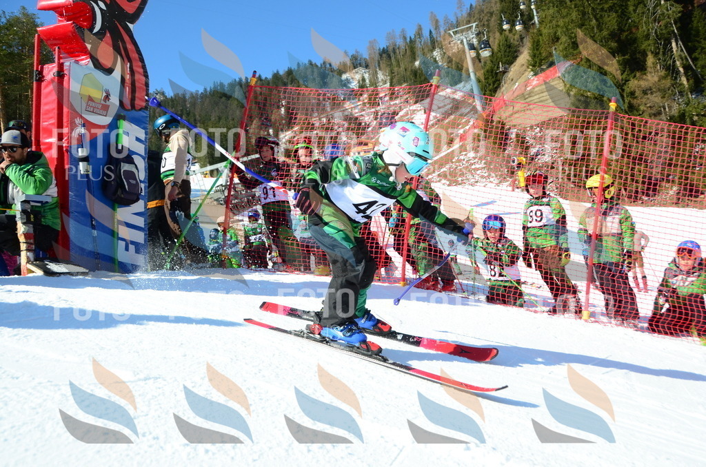 C5070 | holidayphoto