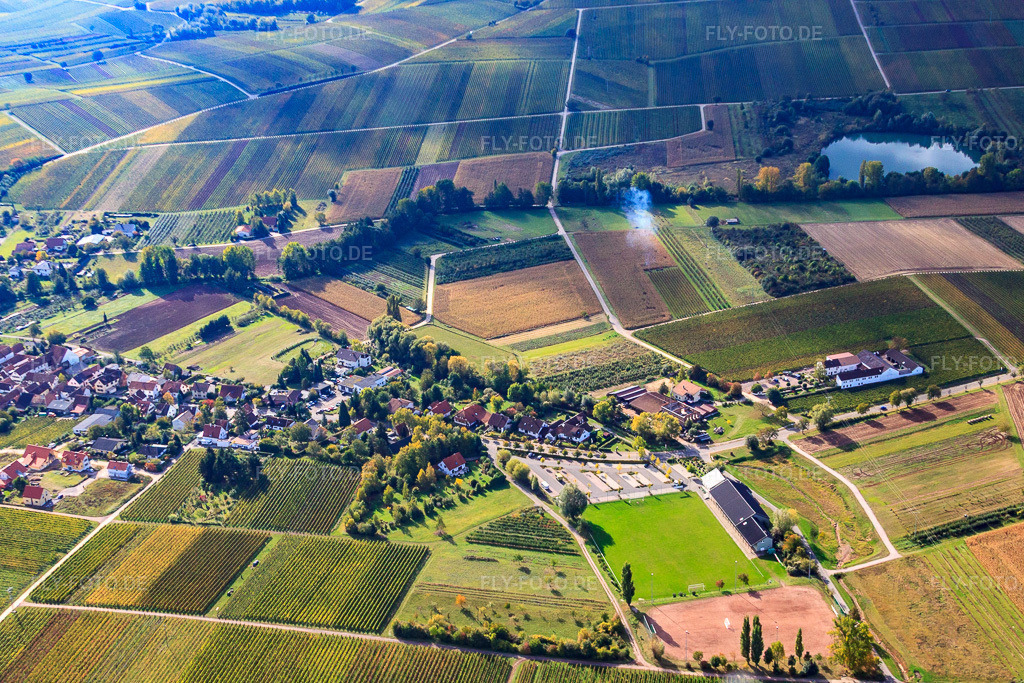Luftbild: Winzerdorf zwischen Weinbergen von Norden in Göcklingen im Bundesland Rheinland-Pfalz in Deutschland. Foto: IMG_22379.jpg vom 15.10.2009 durch Werner Riehm/FLY-FOTO.de