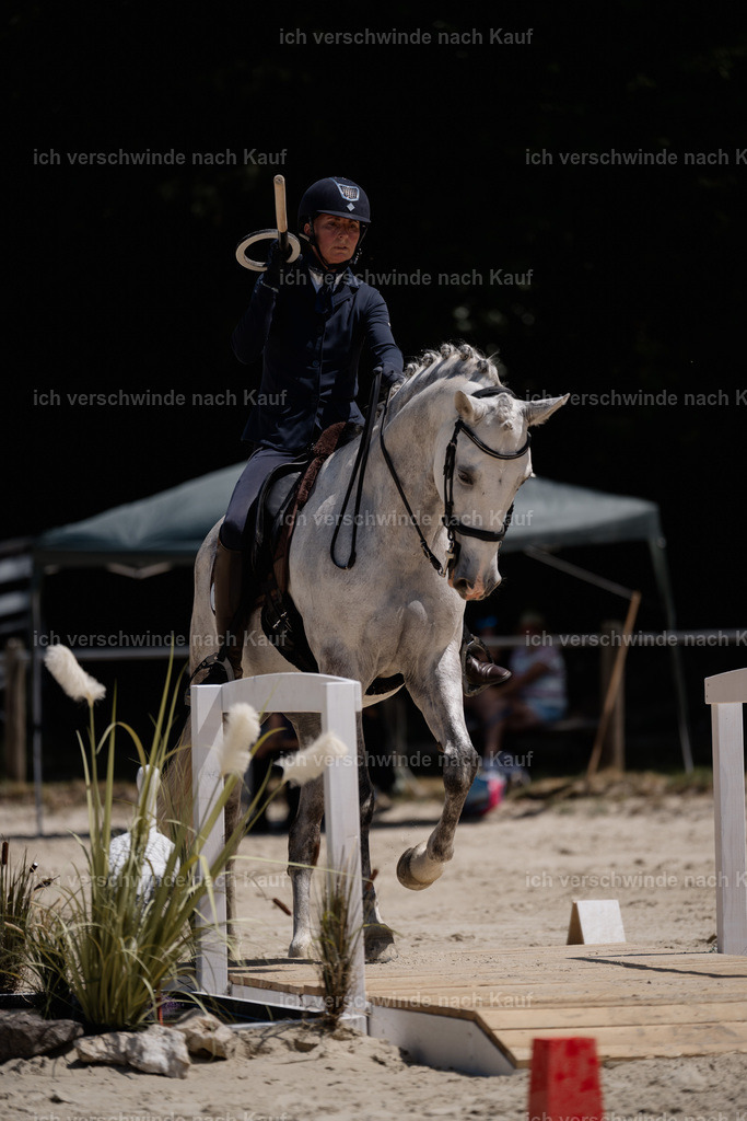WS_ST_139_stoibphotography_SO11193 | working equitationturnier fotograf videograf stoibphotography marixx film working equitation deutschland reitsport turnierfotografie eventfotografie equestrian events