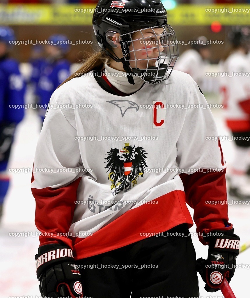 MOWE3398 | hockey sports photos, Pressefotos, Sportfotos, hockey247, win 2day icehockeyleague, Handball Austria, Floorball Austria, ÖVV, Kärntner Eishockeyverband, KEHV, KFV, Kärntner Fussballverband, Österreichischer Volleyballverband, Alps Hockey League, ÖFB, 