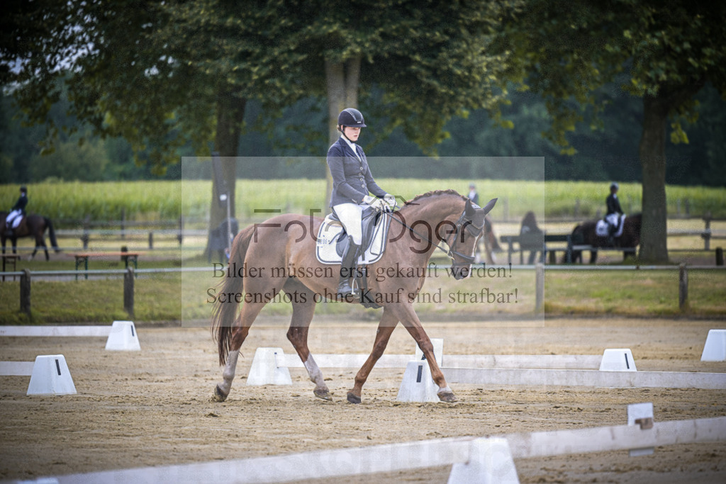 DOS_1535 | Entdecke hochwertige Reitturnierfotos von Foto Oger. Professionell, emotional und authentisch – jetzt Lieblingsmomente im Shop bestellen.Deutschlandweite Turnierfotografie. - Realisiert mit Pictrs.com