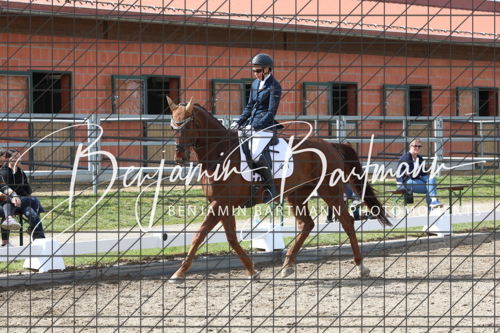 AZ2A3495 | Benjamin Bartmann Photomoments