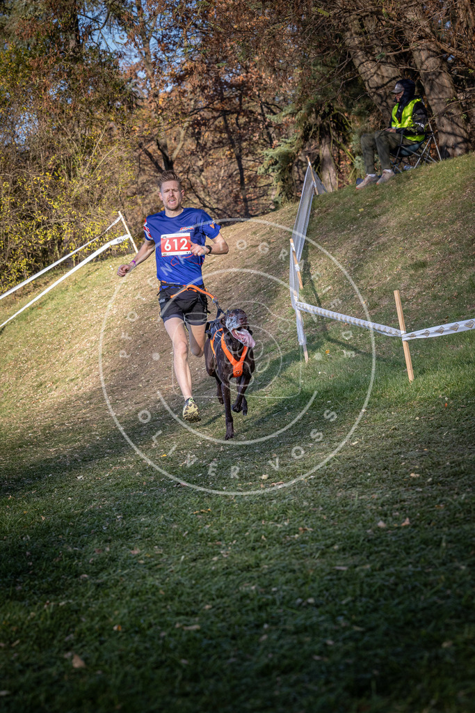 CaniXpix_0L8A8699 | Hundefotografie, Tierfotograf, Pfotenfotografie, Fotoshooting Hund, Hunde Portrait, Hundesport, Hundeportraits, Heideshooting, Hunde, Sportfotograf, Hundefotograf, Turnierhundsport, THS,  - Realisiert mit Pictrs.com