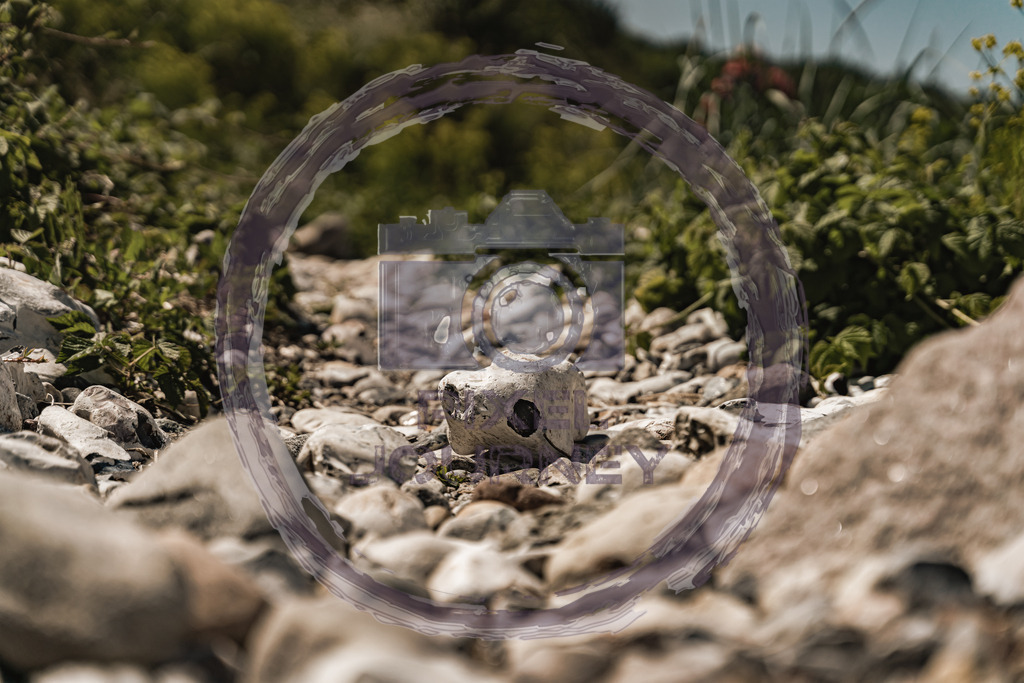 Kreidestein_Rügen | Fotograf, Fotografin, Portraitfotograf, Kunstfotograf, Fotoshop Fineart, Fotoshop Kunstfotografie, Fotos kaufen, Pixeljourney, Doreen Riedel, Natur, Tiere, Architektur, Kunst, Makro