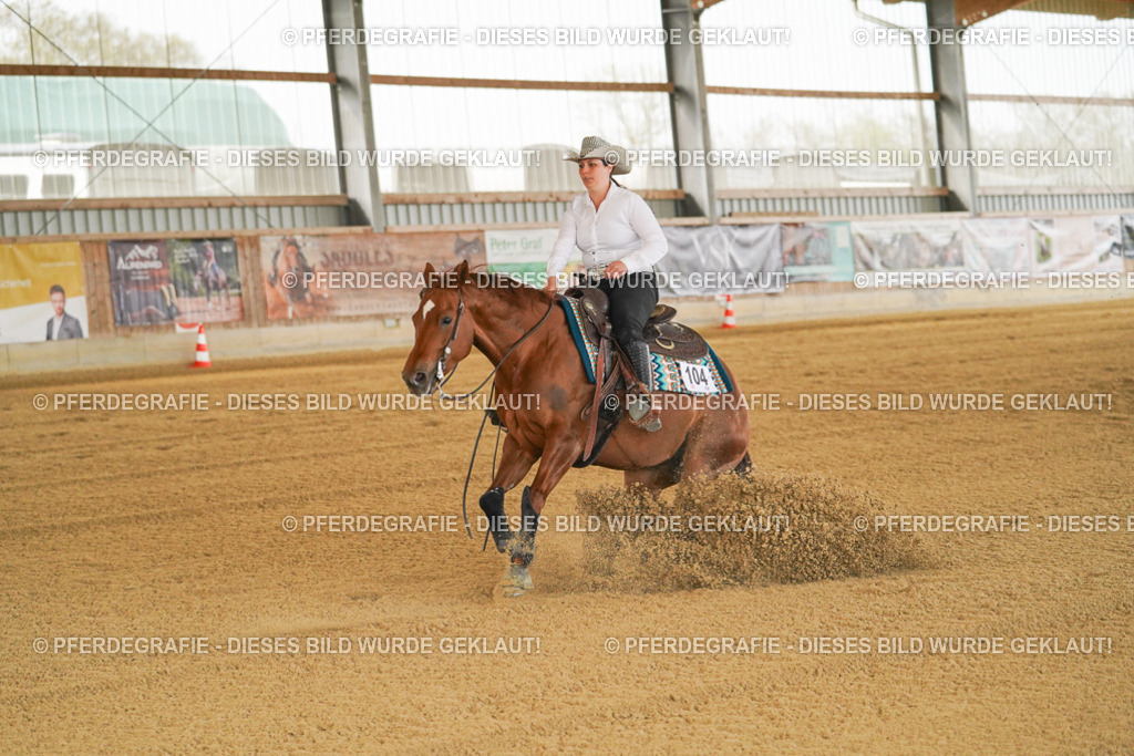 DSC07908 | Pferdegrafie