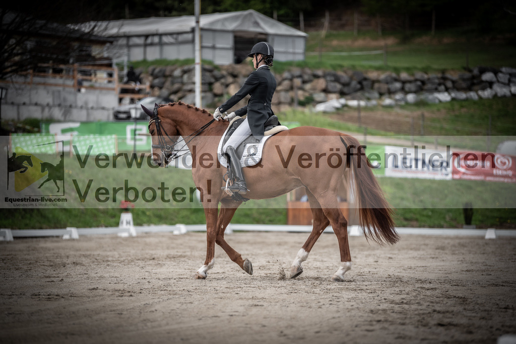 DSC_3081 | equestrian-live-com