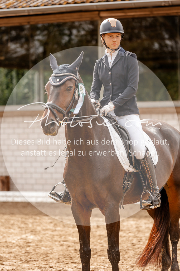 3I6A7615 | Stimmungsvolle Portraits und Reitsportfotografie im Ruhrgebiet und im Münsterland.

Pferdefotografie, Hundefotografie, Tierfotografie, Reportagen, Portraits von Tier und Mensch, Turnierfotografie in Bochum, Recklinghausen, Marl, Haltern am See, Dülmen.. - Realisiert mit Pictrs.com