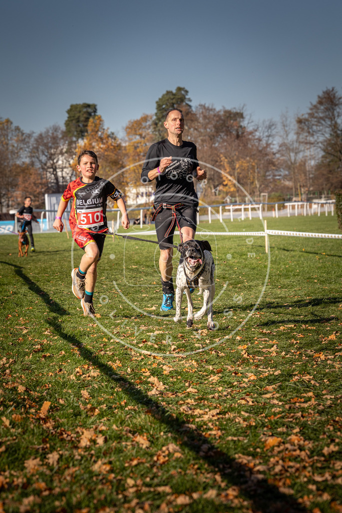 CaniXpix_0L8A6785 | Hundefotografie, Tierfotograf, Pfotenfotografie, Fotoshooting Hund, Hunde Portrait, Hundesport, Hundeportraits, Heideshooting, Hunde, Sportfotograf, Hundefotograf, Turnierhundsport, THS,  - Realisiert mit Pictrs.com